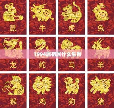 1953 生肖|五三年属什么生肖？详解五三年出生人的性格特点和财运